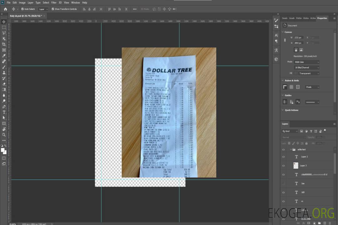 Reçu de paiement du magasin d'arbres à un dollar template Reçu de paiement du magasin d'arbres à un dollar template